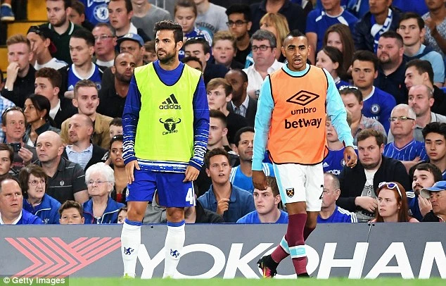 Dù phải ngồi dự bị nhưng Cesc Fabregas vẫn không nản lòng